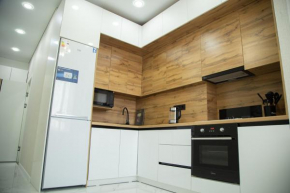 Apartment in the city center